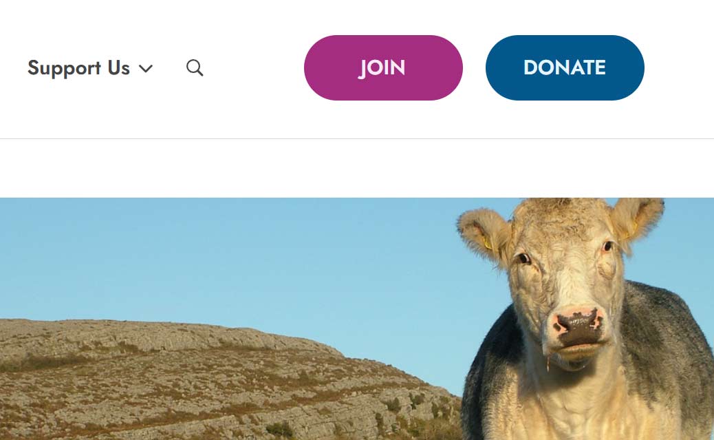 Call to action buttons for join and donate on a website