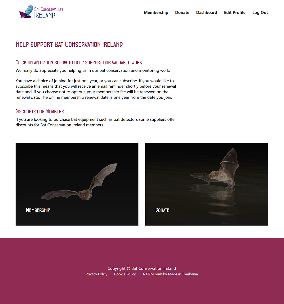 A screenshot of Bat Conservation Ireland's CRM website