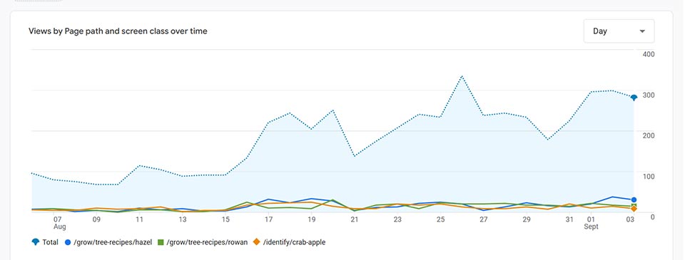 A graph from a Google Analytics report showing website page views over time